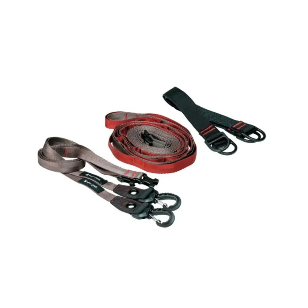 SnowPeak Tuga 別墅帳 四人四季合宜隧道帳 TP-690 歷史價格詳細信息