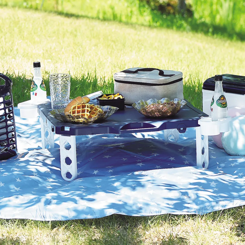 日本Pearl Life Picgene系列便攜式正方形野餐墊/地墊180cm (海軍藍)D-6370 歷史價格詳細信息