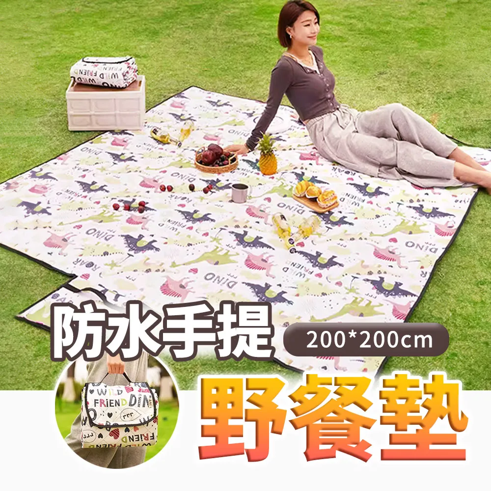 戶外加厚防潮防水野餐墊100x150cm小/150x200cm中/200x200cm大【小三美日】DS011156 歷史價格詳細信息