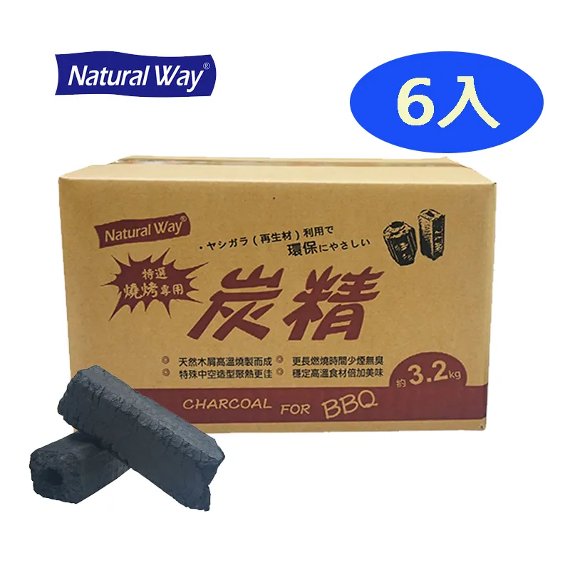 自然風烤肉刷3入 戶外 野餐 露營  現貨 蝦皮直送 歷史價格詳細信息