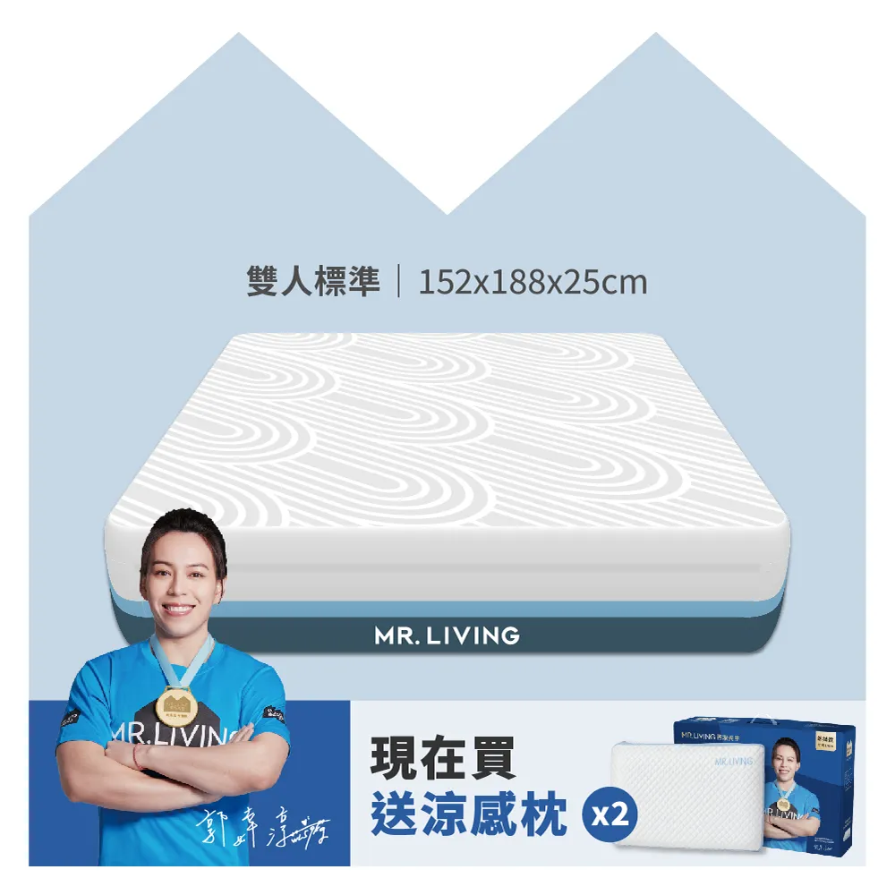 記憶床墊 / 雙人蛋型5cm【吸濕排汗備長炭記憶床墊】5x6.2尺  鳥眼布套  戀家小舖ACM205 歷史價格詳細信息