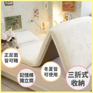 Anna Home 單人床墊 3尺X6.2尺 日系記憶棉獨立筒彈簧冬夏兩用收納床墊 歷史價格詳細信息