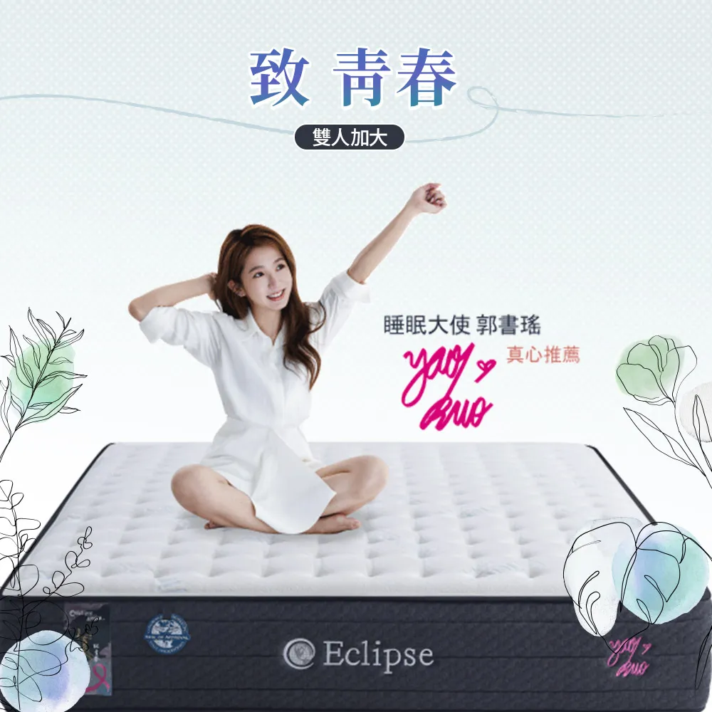 【Artso 亞梭】致青春_雙人-美國ES伊麗絲xBIA健康舒適床墊(彈簧床/獨立筒/天然乳膠) 歷史價格詳細信息