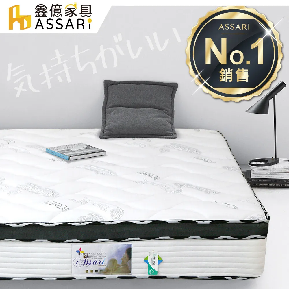 ASSARI-凱妮絲天絲正三線獨立筒床墊(雙大6尺) 價格比較,價格查詢,歷史價格詳細信息