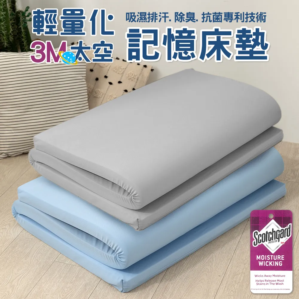 【金大器】極厚5cm冬夏兩用摺疊透氣床墊（單人加大-3.5尺/法蘭絨/透氣纖維內芯） 歷史價格詳細信息