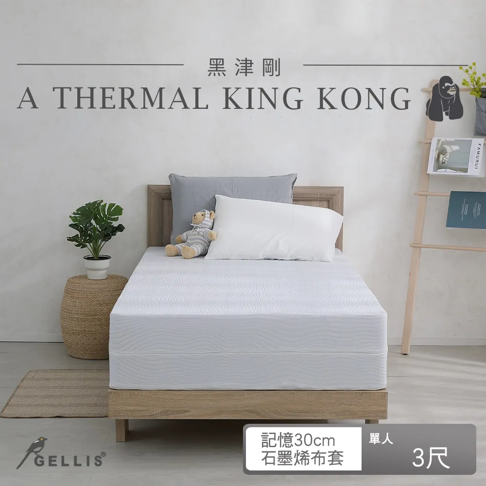 鵲利仕黑津剛雙適能複合式竹炭記憶綿床墊_標準單人3尺20cm厚GBK-KM03020B 歷史價格詳細信息