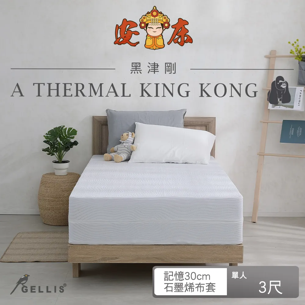 鵲利仕黑津剛雙適能複合式竹炭記憶綿床墊_標準單人3尺20cm厚GBK-KM03020B 歷史價格詳細信息