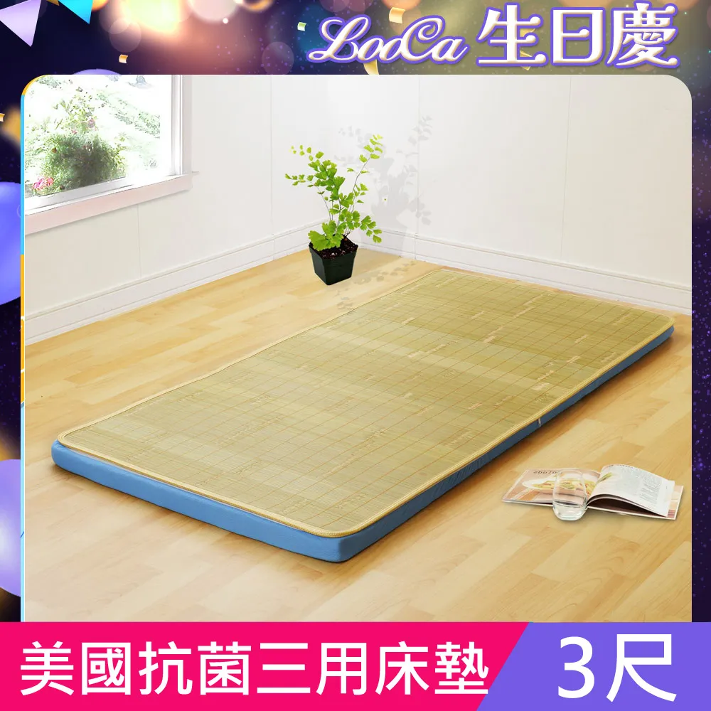 LooCa美國Microban抗菌四季三用便利床墊(單人) 歷史價格詳細信息