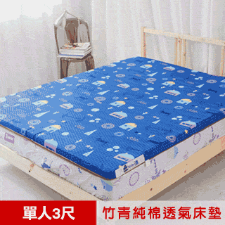 【米夢家居】夢想家園系列-冬夏兩用高磅數天然涼爽竹青純棉透氣床墊-單人3尺(青春綠) 歷史價格詳細信息