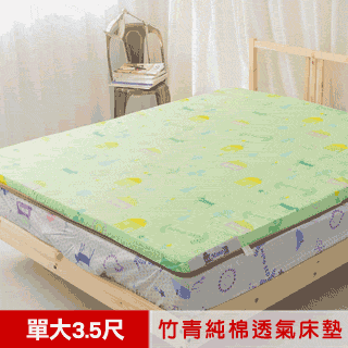 冬夏兩用綠竹透氣床墊 單人 歷史價格詳細信息