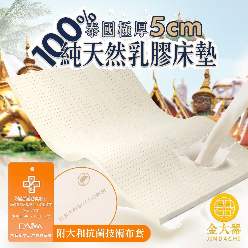 【金大器】極厚5cm冬夏兩用摺疊透氣床墊（單人加大-3.5尺/法蘭絨/透氣纖維內芯） 歷史價格詳細信息