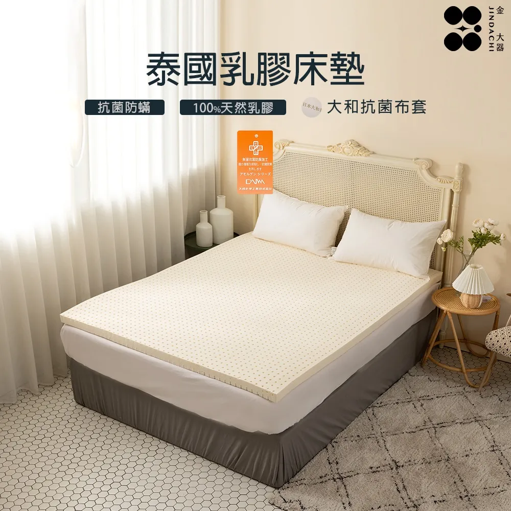 【金大器】極厚5cm冬夏兩用摺疊透氣床墊（單人加大-3.5尺/法蘭絨/透氣纖維內芯） 歷史價格詳細信息