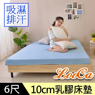 LooCa吸濕排汗人體工學記憶枕(2入)-藍 歷史價格詳細信息