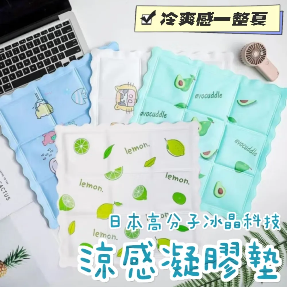 買2件送挪威鯖魚3片【海肉管家】鮮凍半殼2XL鮑魚 共2盒(每盒10~12顆/1kg) 歷史價格詳細信息