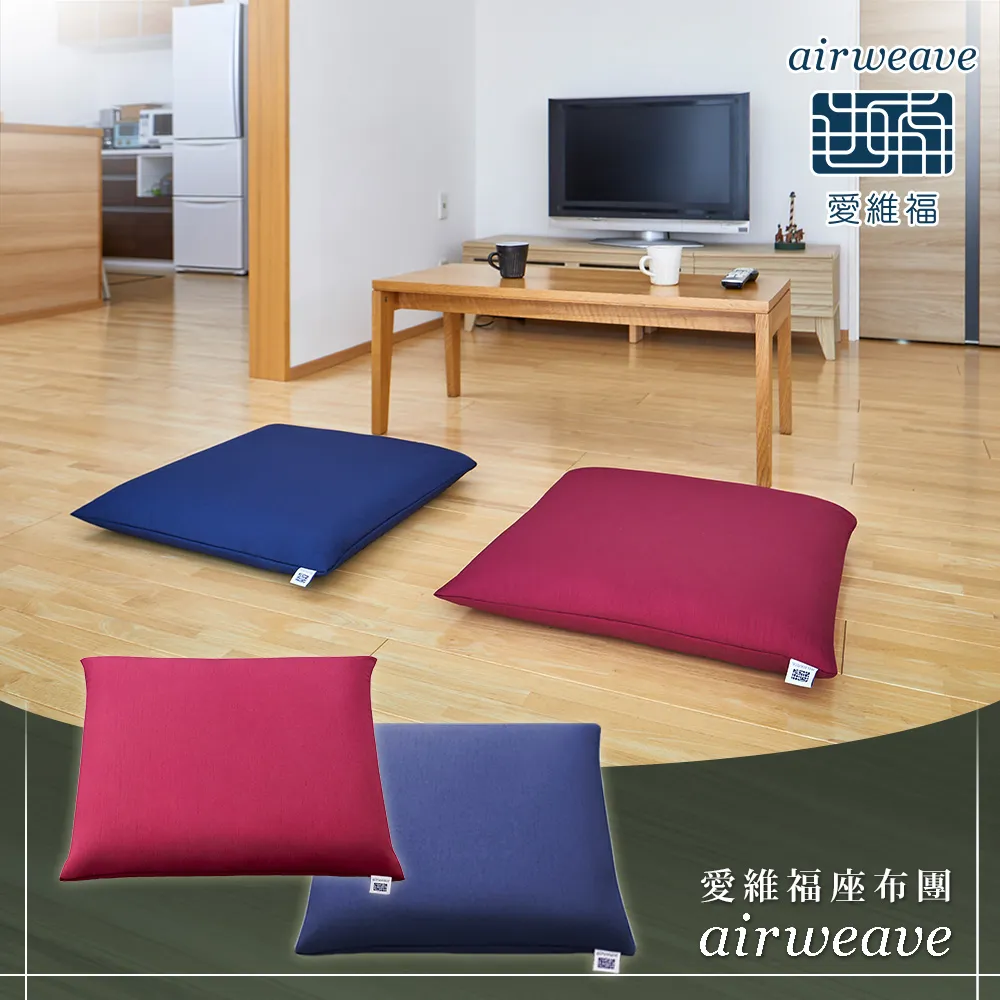 【airweave 愛維福】座布團(100%日本製 支撐力佳 透氣度高 可水洗 便於攜帶) 歷史價格詳細信息