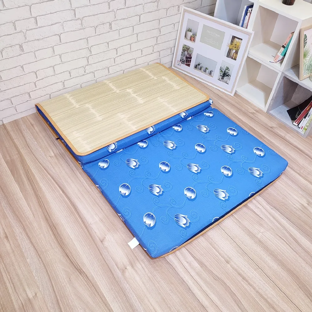 台灣製 冬夏兩用平價輕便床墊 單人3x6尺 (90×180cm)(表布隨機出貨)[免運][大買家] 歷史價格詳細信息