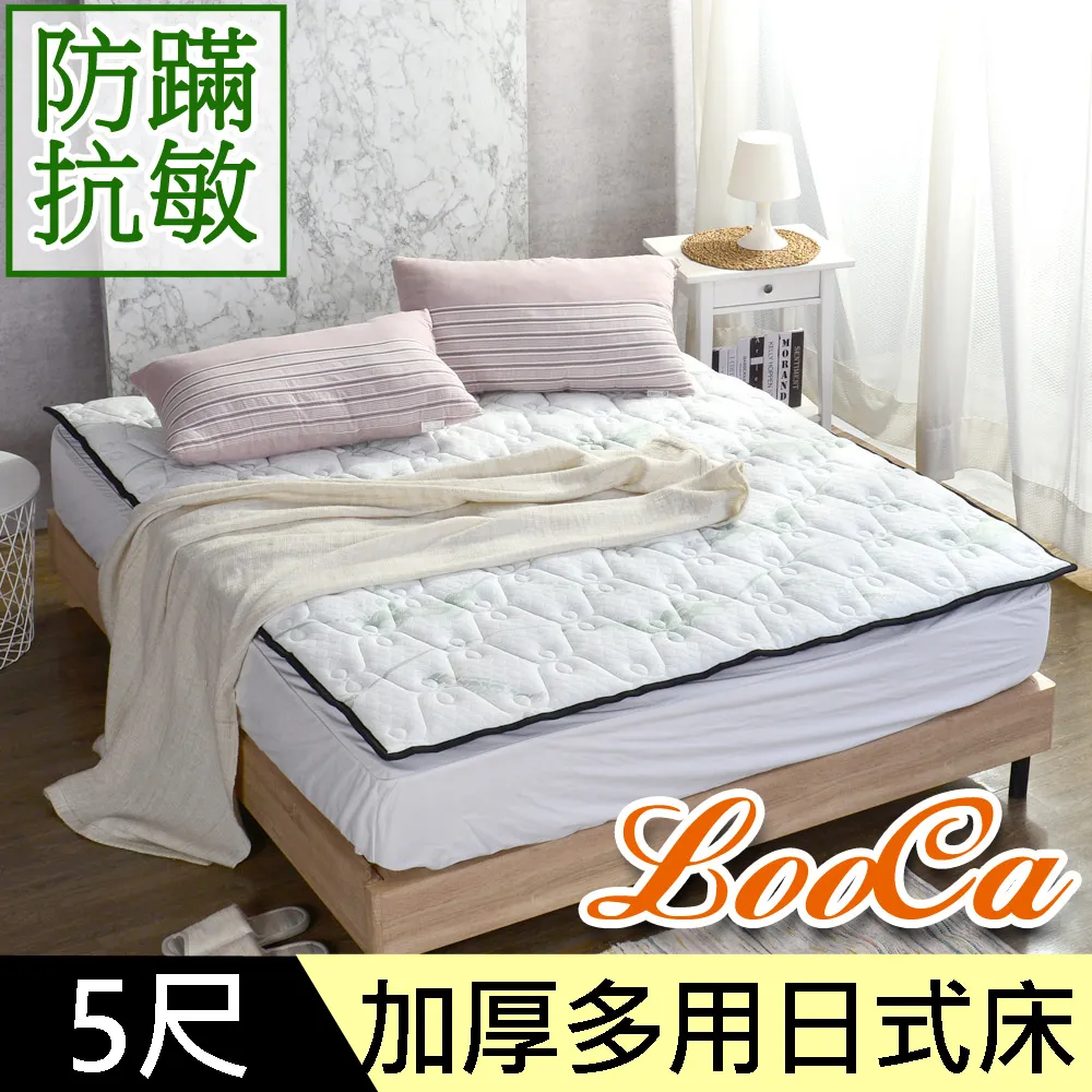 【LooCa】日本抗菌防蹣5cm太空記憶床墊(單人3尺) 歷史價格詳細信息