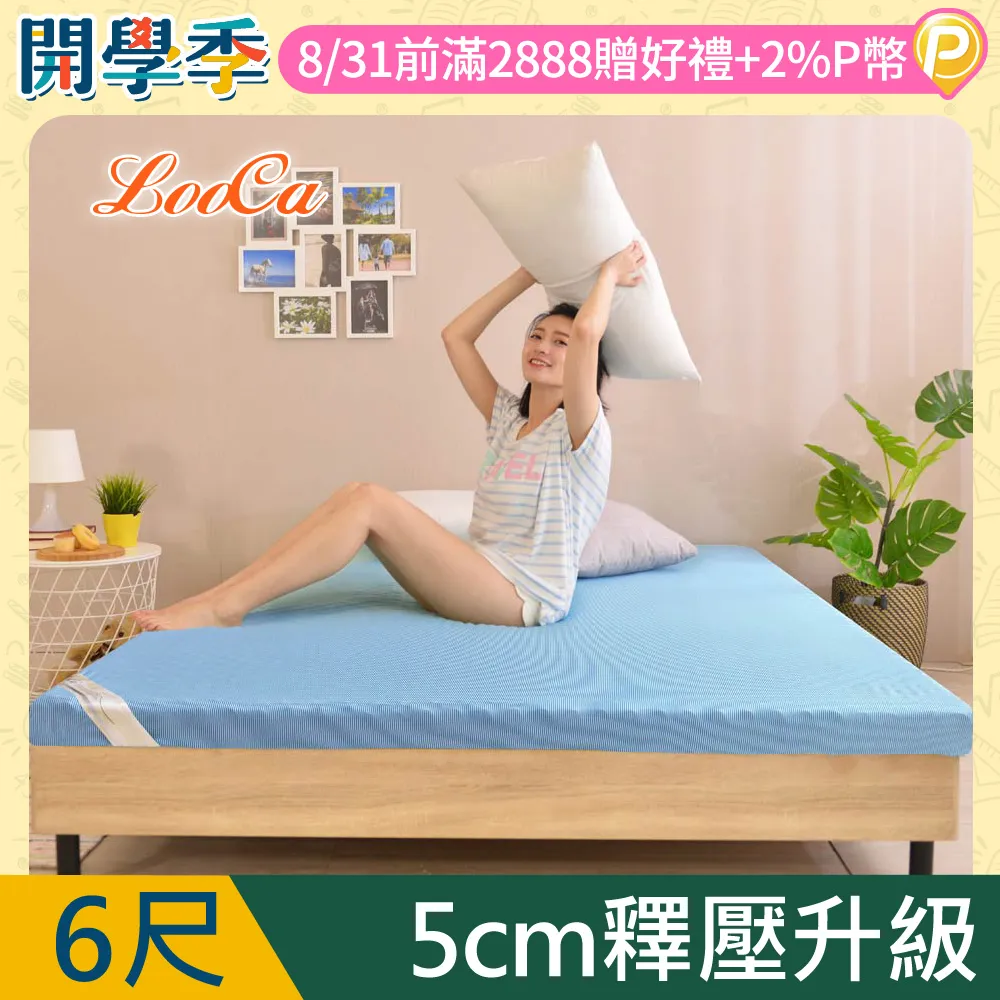 【LooCa】大和抗菌防蹣雲朵被(2入) 歷史價格詳細信息