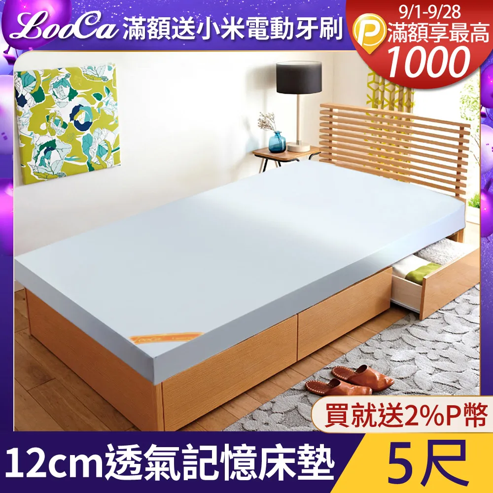 LooCa透氣排汗記憶釋壓萬用三角靠枕 歷史價格詳細信息