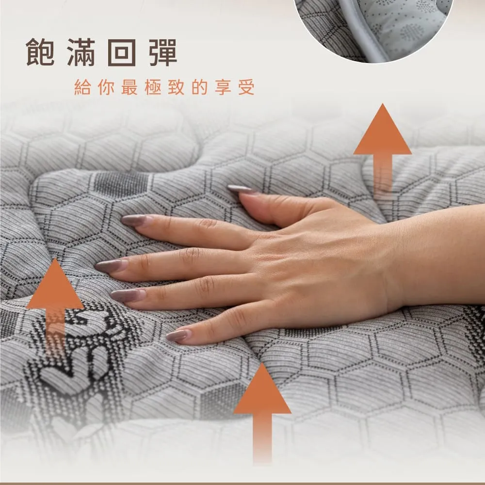 【金大器】石墨烯護頸型工學記憶枕  釋壓工學枕 人體工學設計 高密度記憶棉 科技回彈 機能枕  工學護頸型 枕頭 枕芯 歷史價格詳細信息