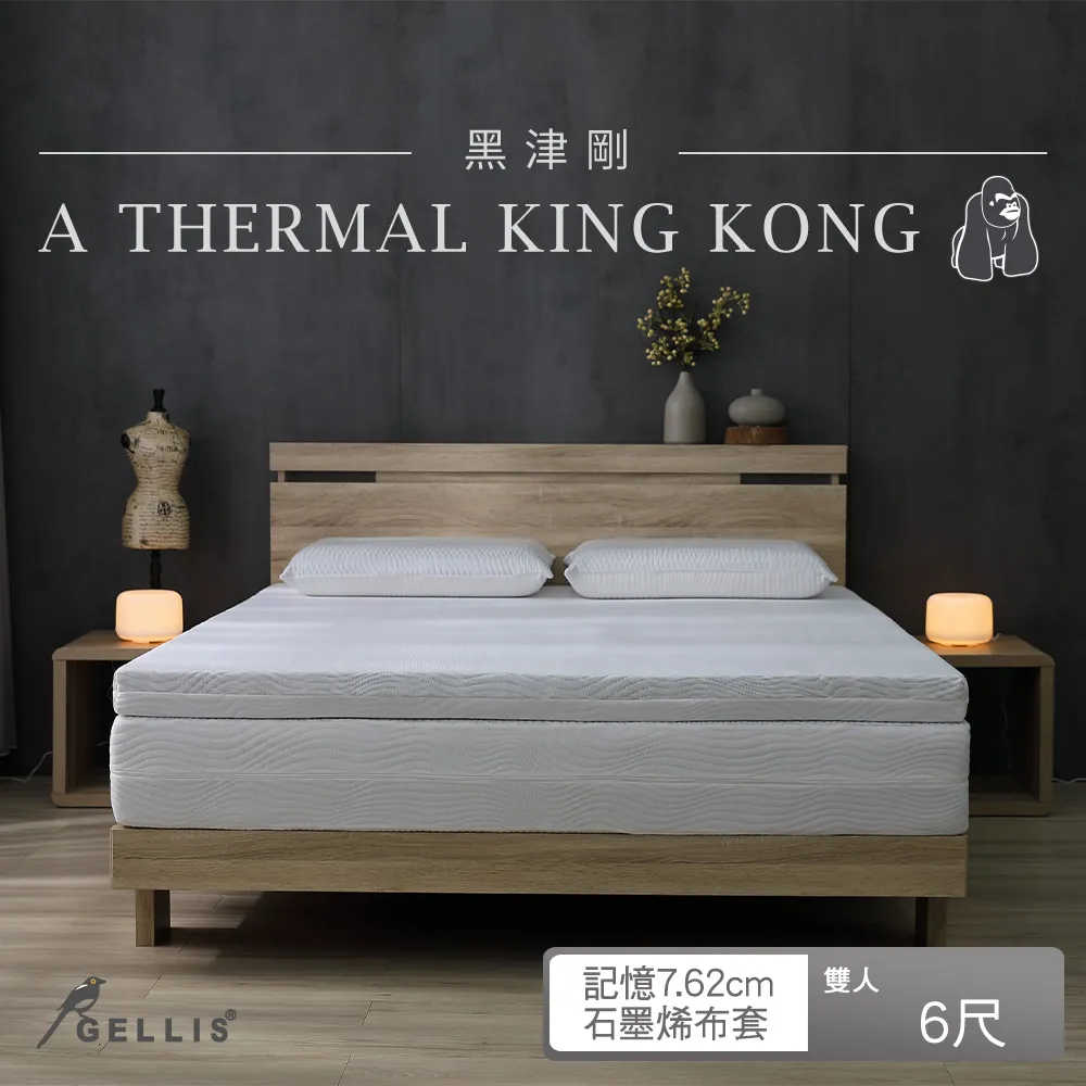 鵲利仕可收納防螨抗菌釋壓記憶薄床墊_單人加大3.5尺7.62cm厚GMM-TN03576HD 歷史價格詳細信息