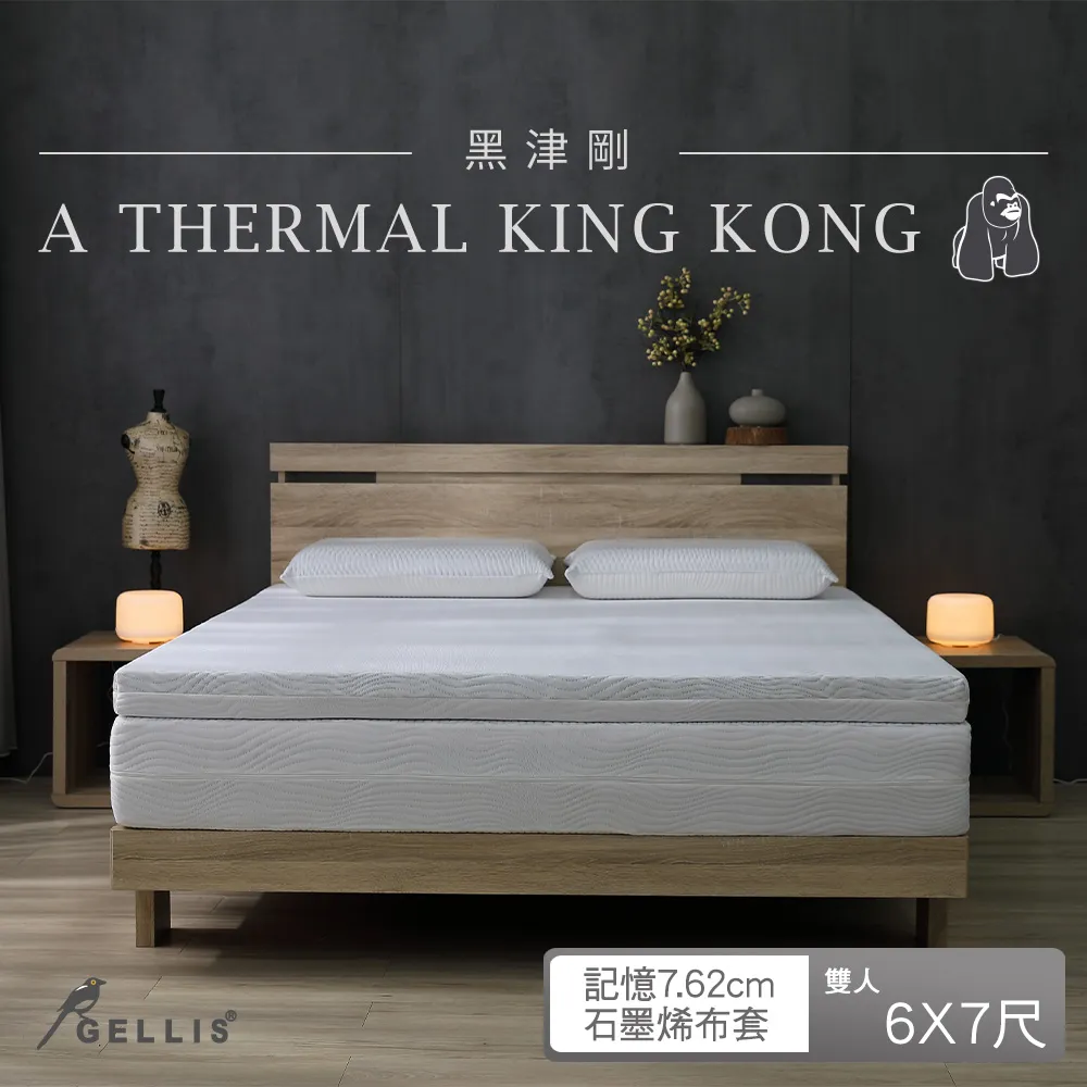 鵲利仕可收納防螨抗菌釋壓記憶薄床墊_單人加大3.5尺7.62cm厚GMM-TN03576HD 歷史價格詳細信息