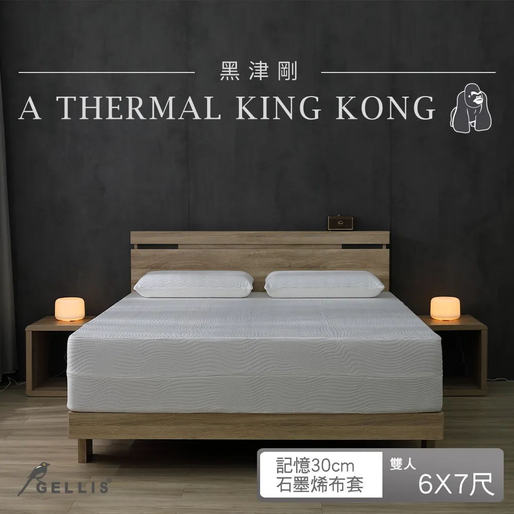 鵲利仕黑津剛雙適能複合式竹炭記憶綿床墊_標準單人3尺20cm厚GBK-KM03020B 歷史價格詳細信息