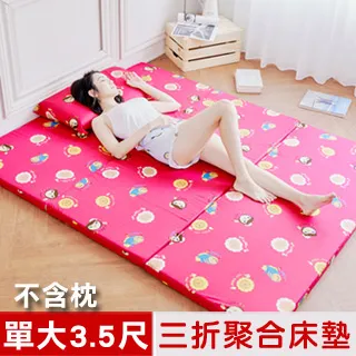 床墊/胖胖墊厚10公分 台灣製造 【日日大家居】花色隨機出貨 歷史價格詳細信息