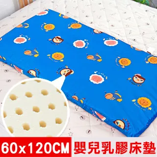 【奶油獅】同樂會系列-乳膠、記憶大枕專用100%純棉工學枕頭套(湖水藍) 歷史價格詳細信息