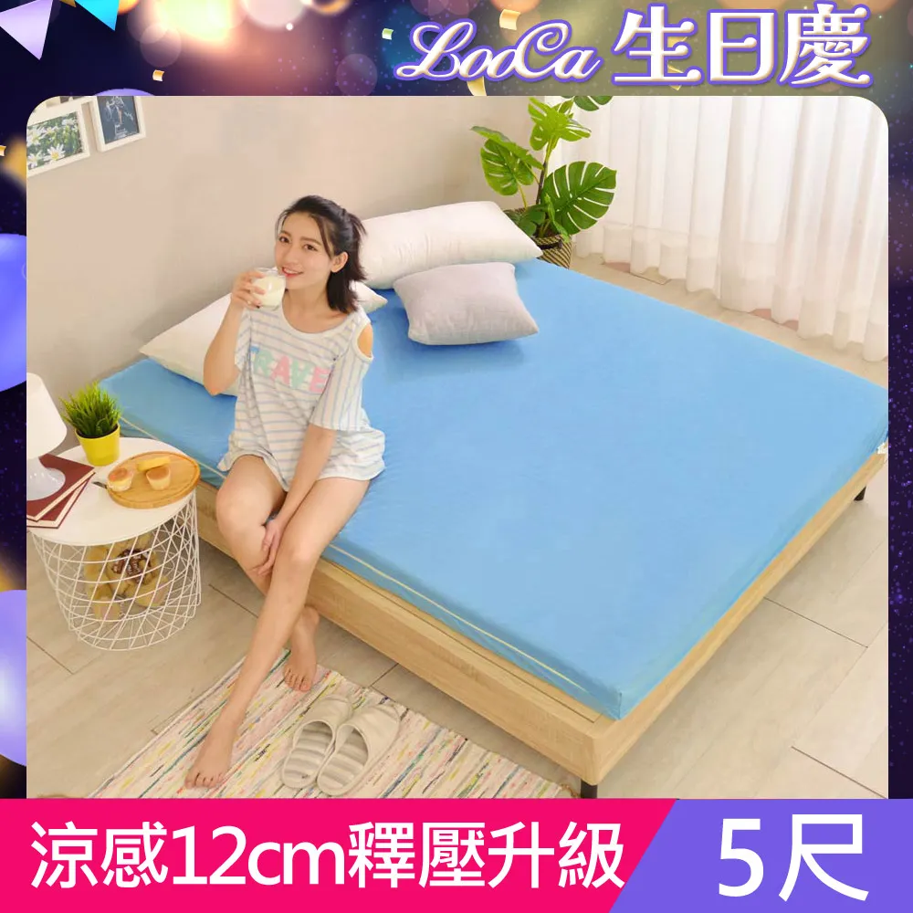 【LooCa】大和抗菌防蹣雲朵被(2入) 歷史價格詳細信息