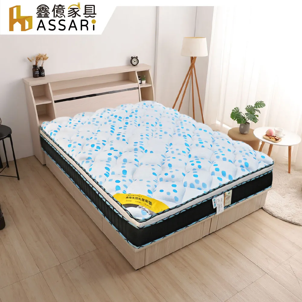 ASSARI-經典三門3尺電視櫃(寬93x深48x高63cm) 歷史價格詳細信息
