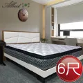 【Albert】艾柏 天絲防蹣6尺雙人加大聯結式彈簧床墊 歷史價格詳細信息