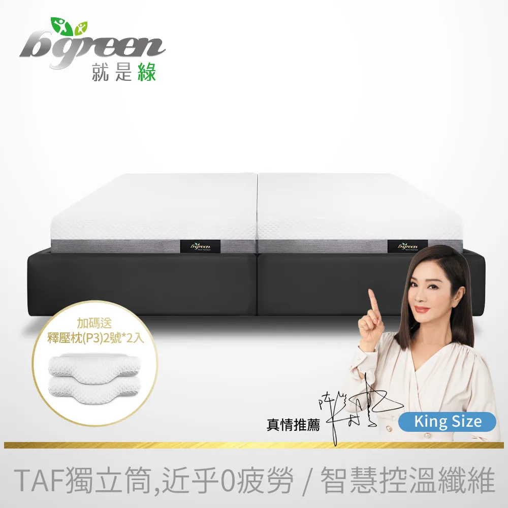 bgreen 運動養生椅 BR1  科技皮 歷史價格詳細信息