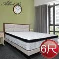 【Albert】艾柏 抗菌6尺雙人加大硬式一線鋼彈簧床墊(6x6.2尺) 歷史價格詳細信息