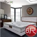【Albert】艾柏 抗菌6尺雙人加大硬式一線鋼彈簧床墊(6x6.2尺) 歷史價格詳細信息