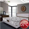 【Albert】艾柏 抗菌6尺雙人加大硬式一線鋼彈簧床墊(6x6.2尺) 歷史價格詳細信息