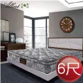 【Albert】艾柏 抗菌6尺雙人加大硬式一線鋼彈簧床墊(6x6.2尺) 歷史價格詳細信息