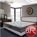 【Albert】艾柏 抗菌6尺雙人加大硬式一線鋼彈簧床墊(6x6.2尺) 歷史價格詳細信息