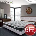 【Albert】艾柏 抗菌6尺雙人加大硬式一線鋼彈簧床墊(6x6.2尺) 歷史價格詳細信息