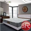 【Albert】艾柏 抗菌6尺雙人加大硬式一線鋼彈簧床墊(6x6.2尺) 歷史價格詳細信息