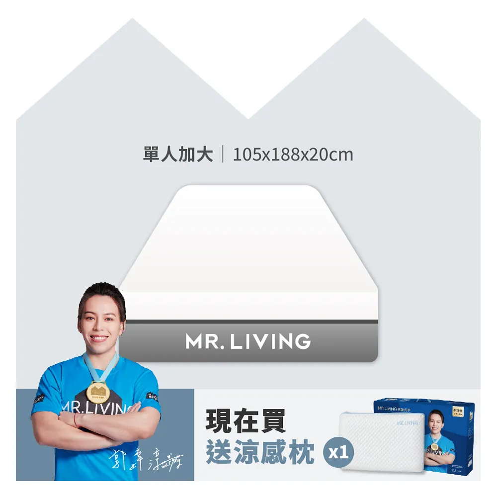 護腰護脊減壓記憶床墊 單人加大 3.5尺 價格比較,價格查詢,歷史價格詳細信息