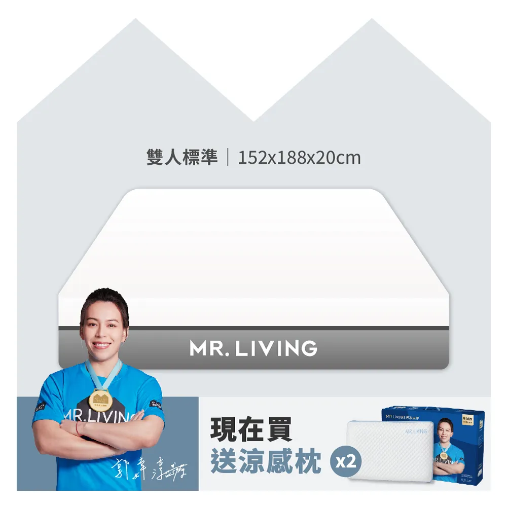 護腰護脊減壓記憶床墊 單人加大 3.5尺 歷史價格詳細信息