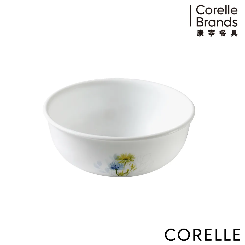 CORELLE 康寧花漾彩繪4件式餐盤組-D02 歷史價格詳細信息