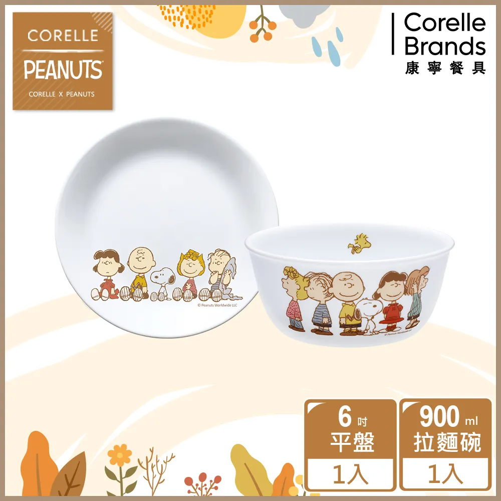 【美國康寧 CORELLE】SNOOPY 2件式韓式餐碗組(多款可選) 歷史價格詳細信息