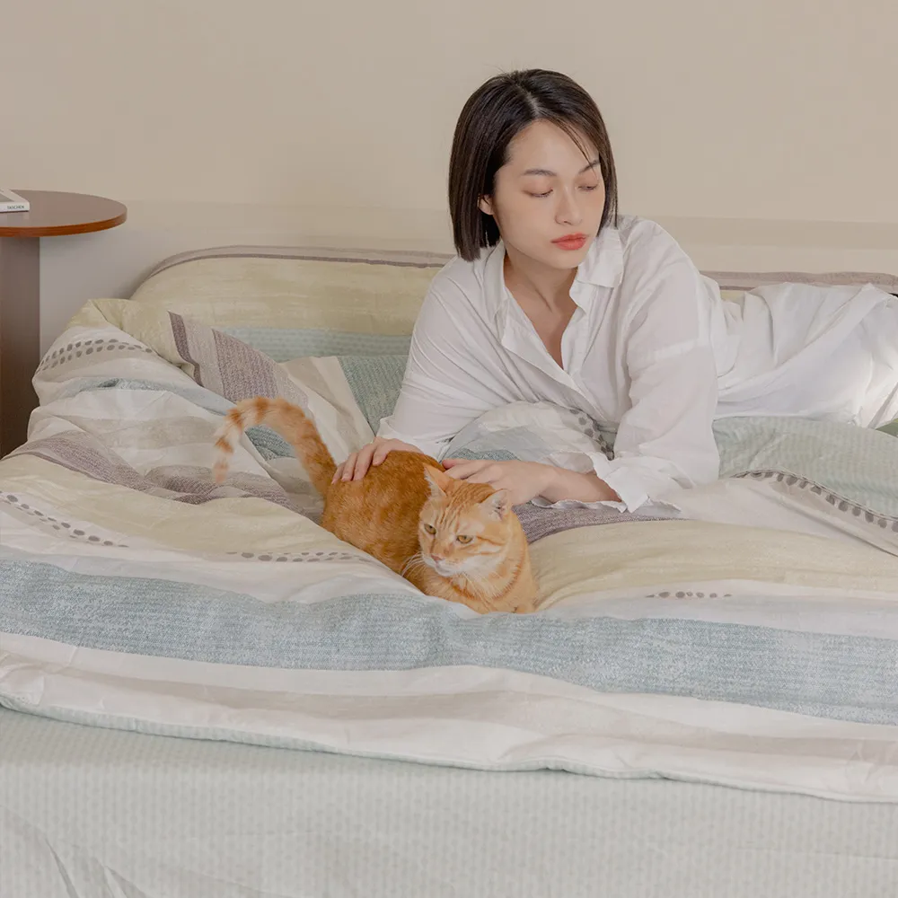 【青鳥家居】精梳棉素色床包枕套組-雙人/多色賣場 #純棉床包 素色床包 台灣製 歷史價格詳細信息