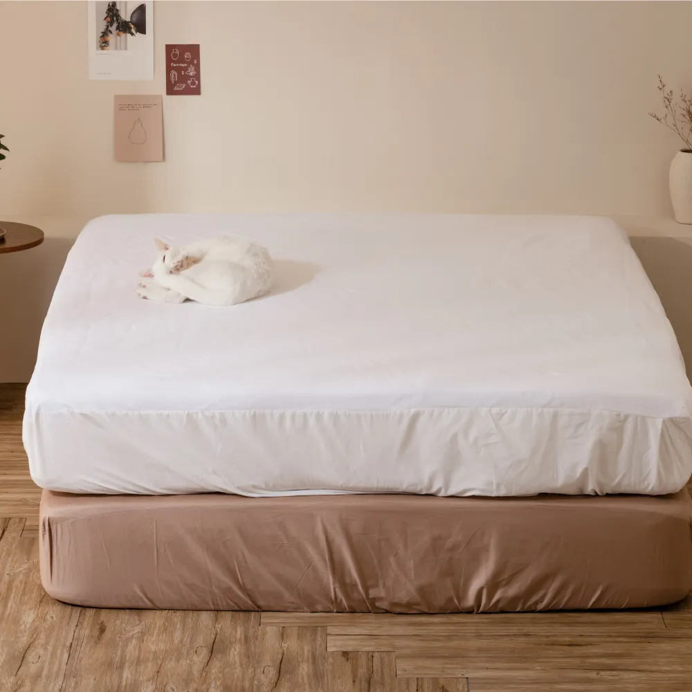 【青鳥家居】毛巾布床包式保潔墊 單人保潔墊/雙人保潔墊/加大保潔墊/特大保潔墊 歷史價格詳細信息