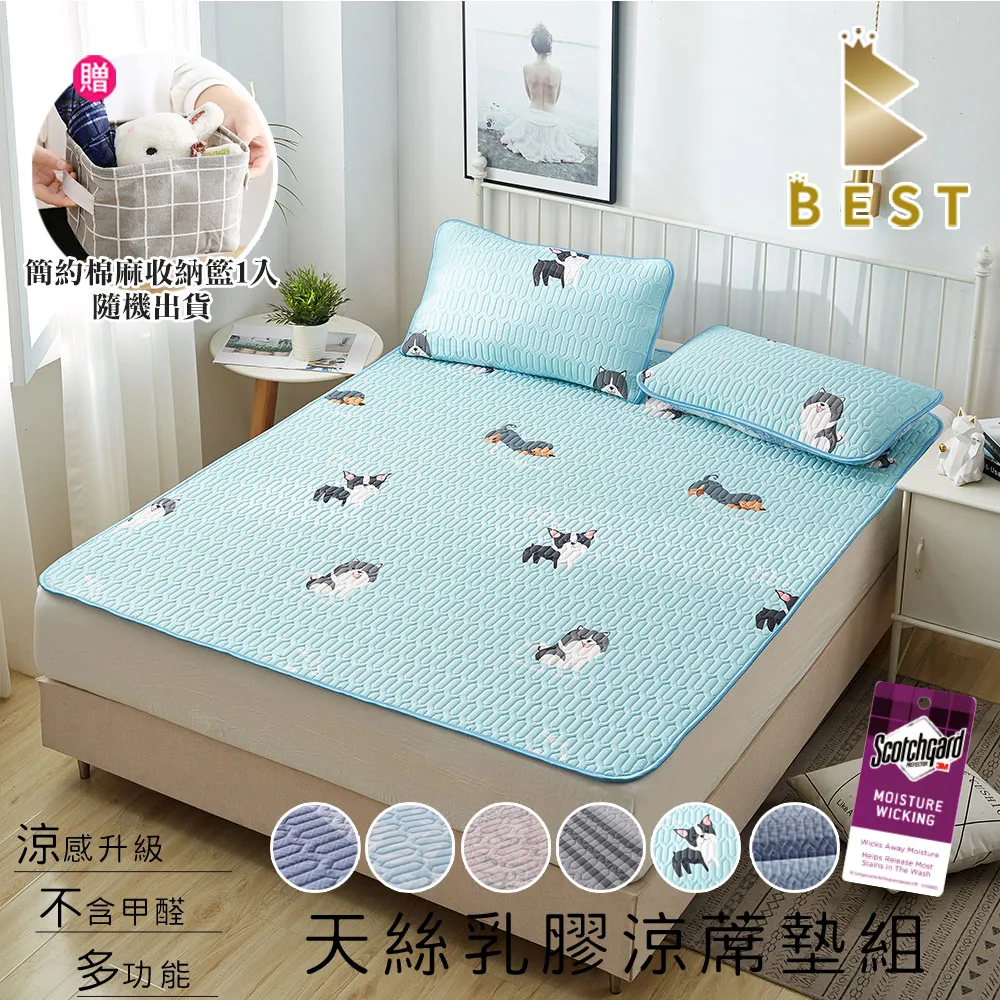 【BEST 貝思特】天絲乳膠涼蓆墊組 單/雙/加大 贈乳膠涼蓆枕套 TENCEL 買一送一 均價 歷史價格詳細信息
