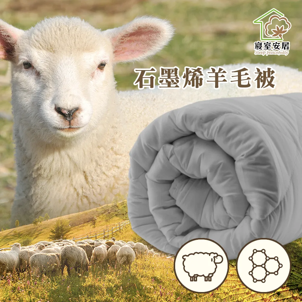 【寢室安居】石墨烯單人雙面四季被+踩屎感4.0厚底拖 歷史價格詳細信息