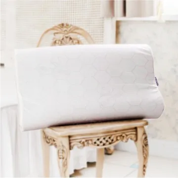 鴻宇HongYew 典雅竹炭記憶枕 歷史價格詳細信息