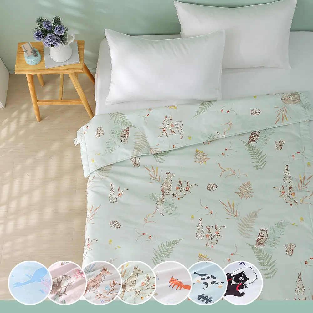 鴻宇 涼被 四季被 100%精梳純棉 夢如初夏 台灣製C20116 歷史價格詳細信息